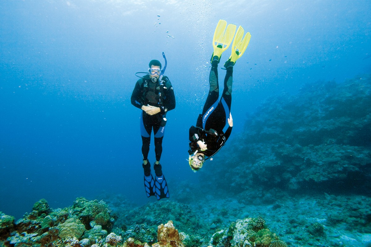 photo of two divers having fun under water