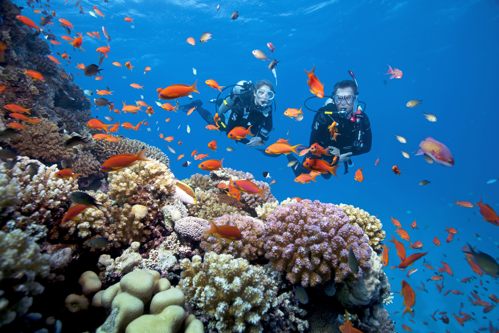 photo of two divers with school of orange fish and coral