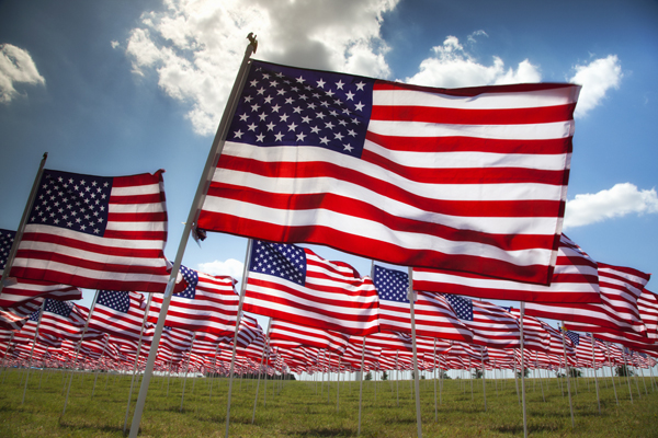 photo of field of American flags